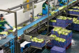 Ici, on ne raconte pas de salades, on agit