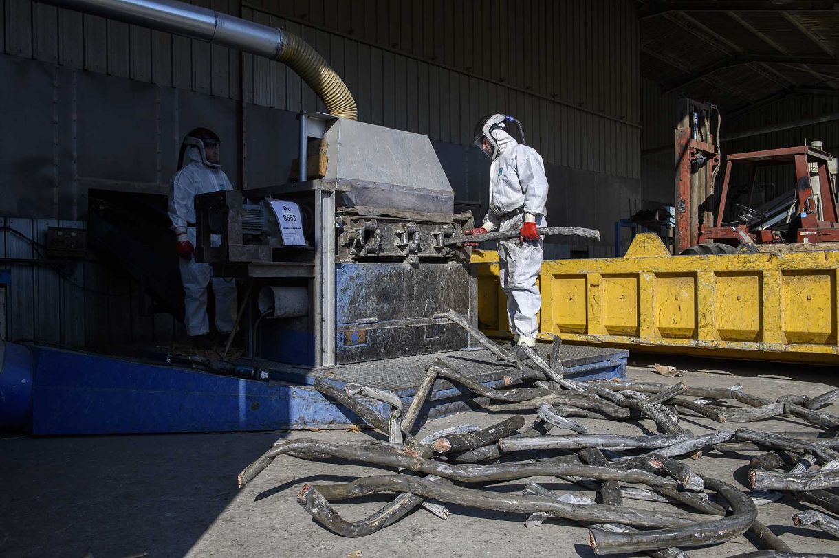 Recyclage de câbles chez Promotrame