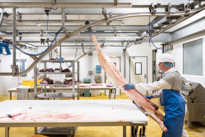 Vue d'un situation de travail chez Quintin Viandes.