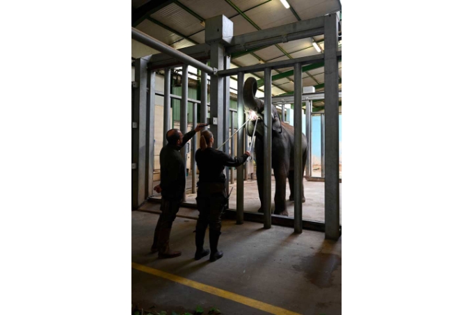 Vente, accueil du public, restauration, nettoyage, mais aussi maintenance, spectacle vivant, présence d'animaux... Dans un parc d’attractions, les activités et, par conséquent, les risques professionnels sont multiples. Vente, accueil du public, restauration, nettoyage, mais aussi maintenance, spectacle vivant, présence d'animaux... Dans un parc d’attractions, les activités et, par conséquent, les risques professionnels sont multiples.
