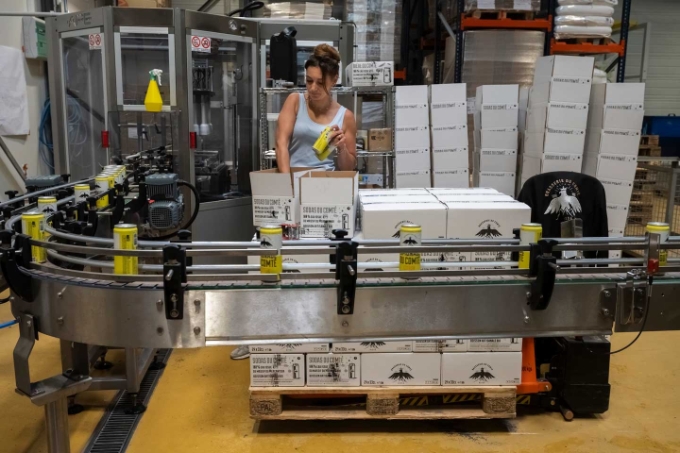 En entrée et sortie de la ligne d'encannage, les opérations se font encore pour l’heure à la main. La finalisation des installations est néanmoins imminente. La ligne d'embouteillage, en revanche, est entièrement automatisée.