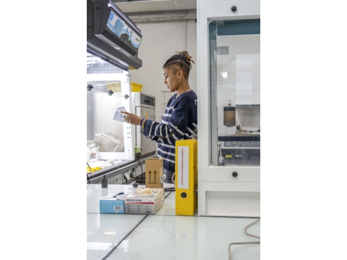 Vue d'une situation de travail au C2RMF.