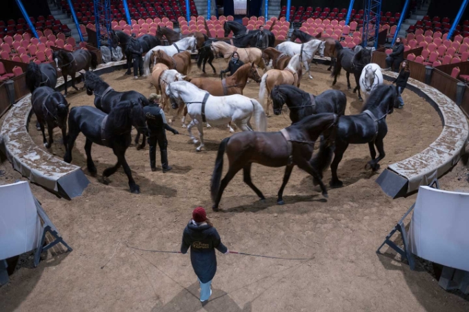 Vue d'une situation de travail au sein de la compagnie Alexis Gruss.