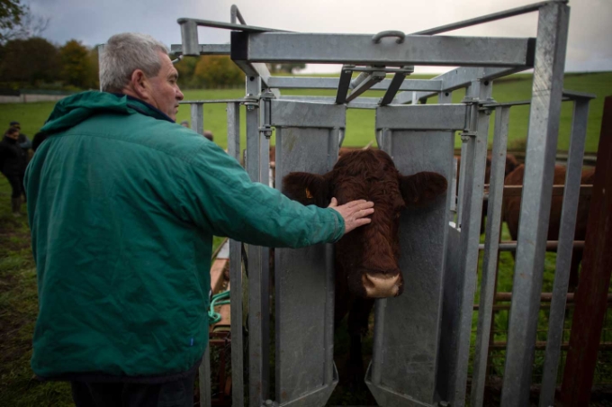 Vue d'une situation de travail dans l'agriculture.