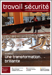 Travail & Sécurité N°735 de janvier 2013