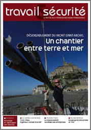 Travail & Sécurité N°738 de avril 2013